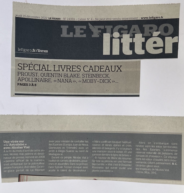 https://www.nicolasvial.com/files/gimgs/th-89_Figaro littéraire.jpg